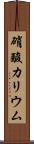 硝酸カリウム Scroll