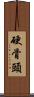 硬骨頭 Scroll