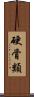 硬骨類 Scroll