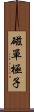 磁單極子 Scroll