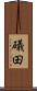 礒田 Scroll