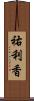 祐利香 Scroll