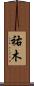 祐木 Scroll