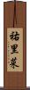 祐里菜 Scroll
