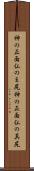 神の正面仏のま尻 Scroll