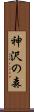 神沢の森 Scroll