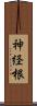 神経根 Scroll