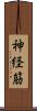 神経筋 Scroll