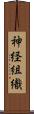 神経組織 Scroll