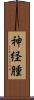 神経腫 Scroll
