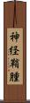 神経鞘腫 Scroll