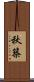 秋築 Scroll