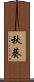 秋葵 Scroll
