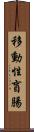 移動性盲腸 Scroll