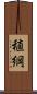 稙綱 Scroll