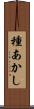 種あかし Scroll