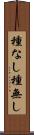 種なし Scroll