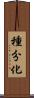 種分化 Scroll
