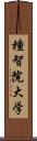 種智院大学 Scroll