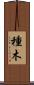 種木 Scroll