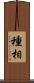 種相 Scroll