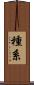 種系 Scroll