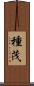 種茂 Scroll