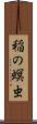 稲の螟虫 Scroll