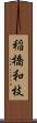 稲橋和枝 Scroll