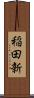 稲田新 Scroll