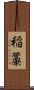 稲藁 Scroll