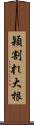 穎割れ大根 Scroll