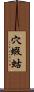 穴蝦蛄 Scroll