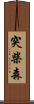 突柴森 Scroll