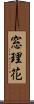 窓理花 Scroll