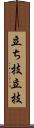 立ち技;立技 Scroll