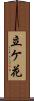 立ケ花 Scroll
