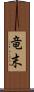 竜末 Scroll