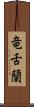 竜舌蘭 Scroll