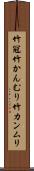 竹冠 Scroll