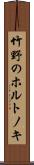 竹野のホルトノキ Scroll