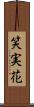 笑実花 Scroll