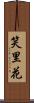 笑里花 Scroll