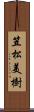 笠松美樹 Scroll