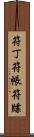 符丁 Scroll