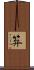 笲 Scroll