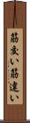 筋交い Scroll