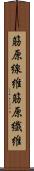 筋原線維 Scroll