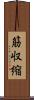 筋収縮 Scroll