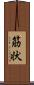 筋状 Scroll